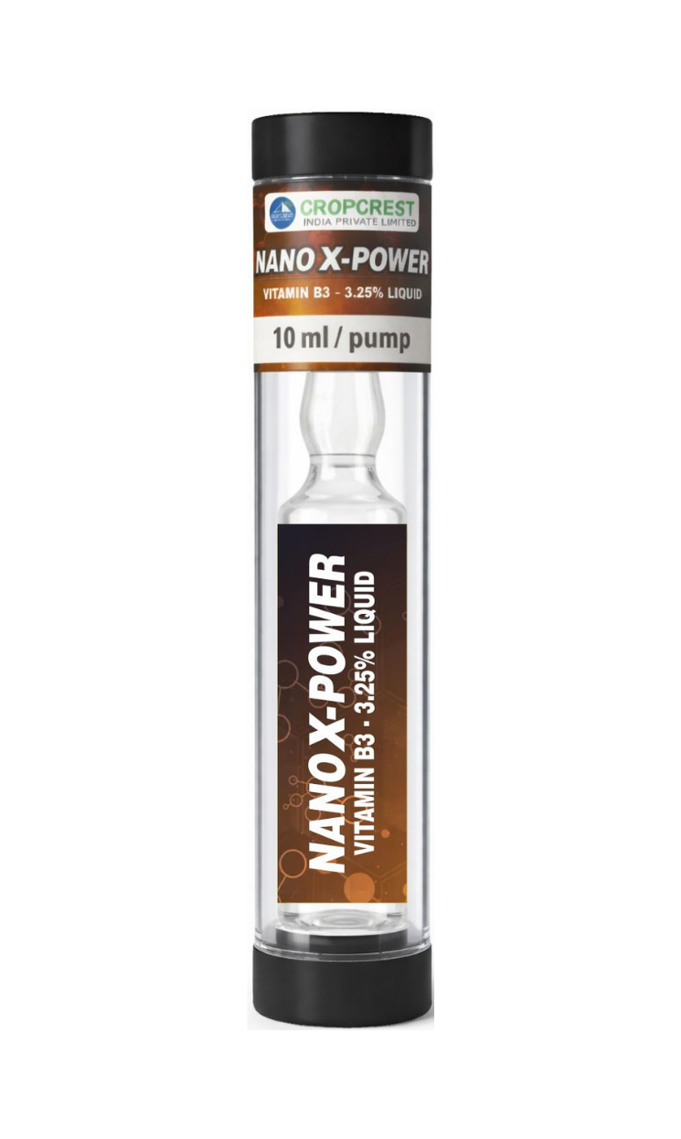 Nano X Power